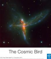 De 'Vogelcluster' ESO 593-IG 008