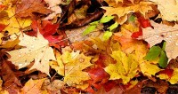 herfst