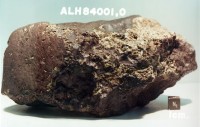 Marsmeteoriet ALH84001