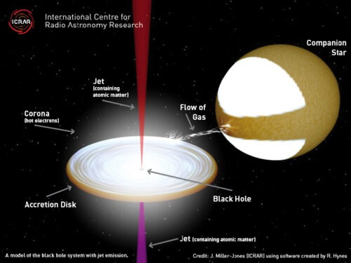 Model van zwarte gat dat normale atomen in zijn jets bevat (credit: J. Miller-Jones (ICRAR)).