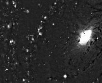 Nova in M81 ontdekt door Hornoch