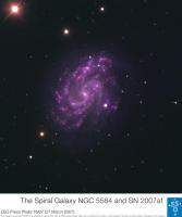 SN 2007af in NGC 5584