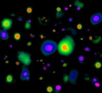 Computersimulatie van weeffouten in het vroege heelal (met oranje-rood de warme plekken en paars-blauw de koele plekken)