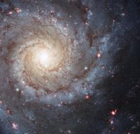 M74, het prachtige sterrenstelsel in Vissen