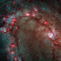 Hubble's nieuwe blik op M83