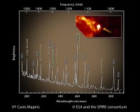 Spectrum van VY Canis Majoris