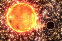 star cluster black hole