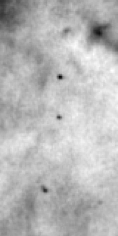 Foto gemaakt met Herschel van de utibarstingen bij GX339-4