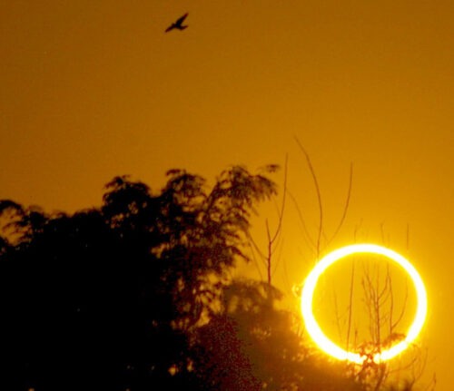 Ring of Fire Roswell