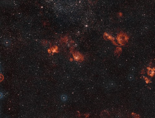 Overzichtsfoto NGC 2014 en NGC 2020
