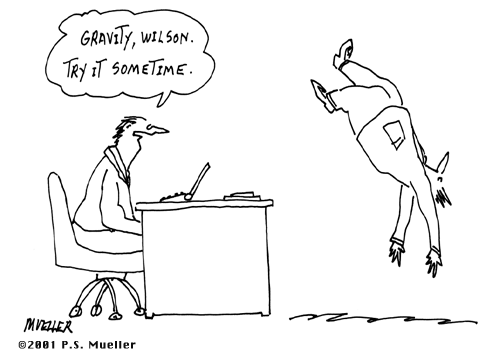 gravity wilson
