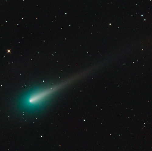 komeet ISON (of Oct. 8. Credit: Adam Block/Mount Lemmon SkyCenter/University of Arizona)