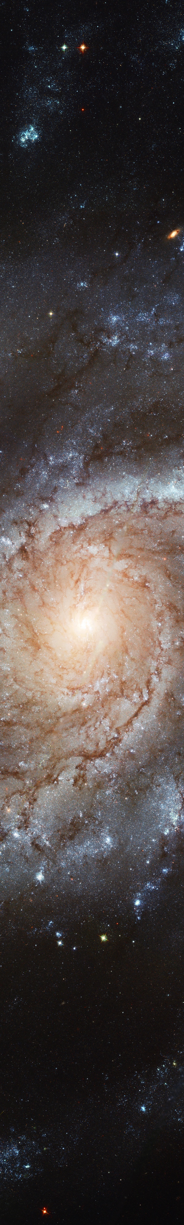 M101 13 strip