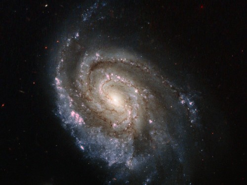 SN NGC 6984