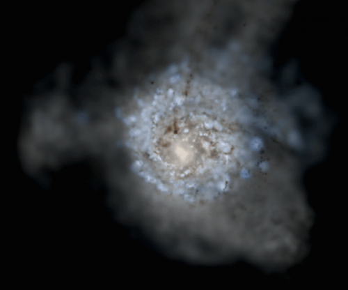Simulated spiral galaxy