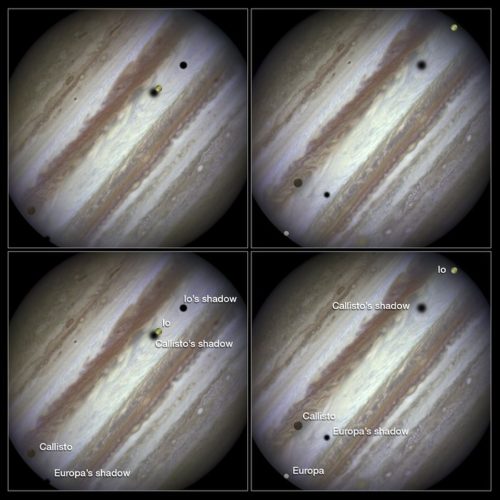 Three moons and their shadows parade across Jupiter. Comparis