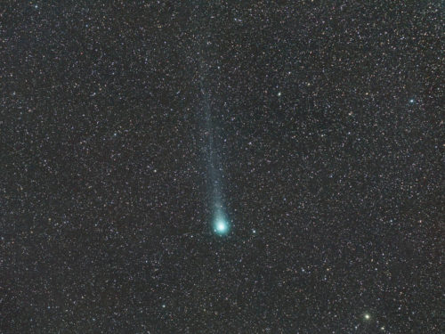 Komeet Lovejoy op 12 februari 2015 gefotografeerd. Credits: Fabrice Noel