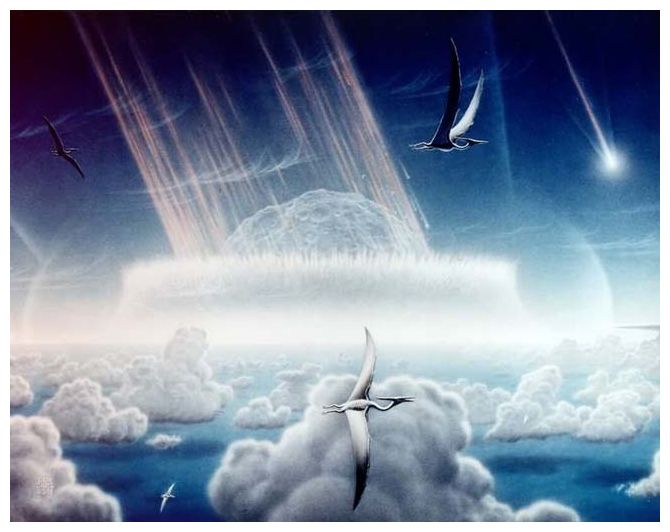 Meteoriet die 66 miljoen jaar geleden dinosauriërs deed uitsterven zorgde al snel voor massale bosbranden