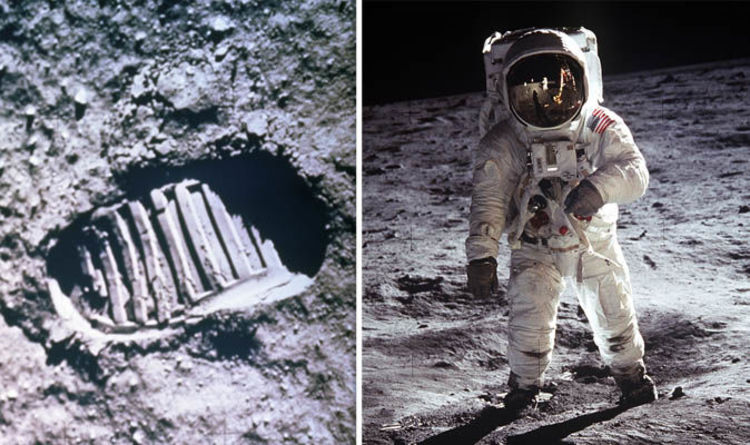 Zending douche Slang Precies vijftig jaar geleden landde de Eagle van Apollo 11 op de Maan