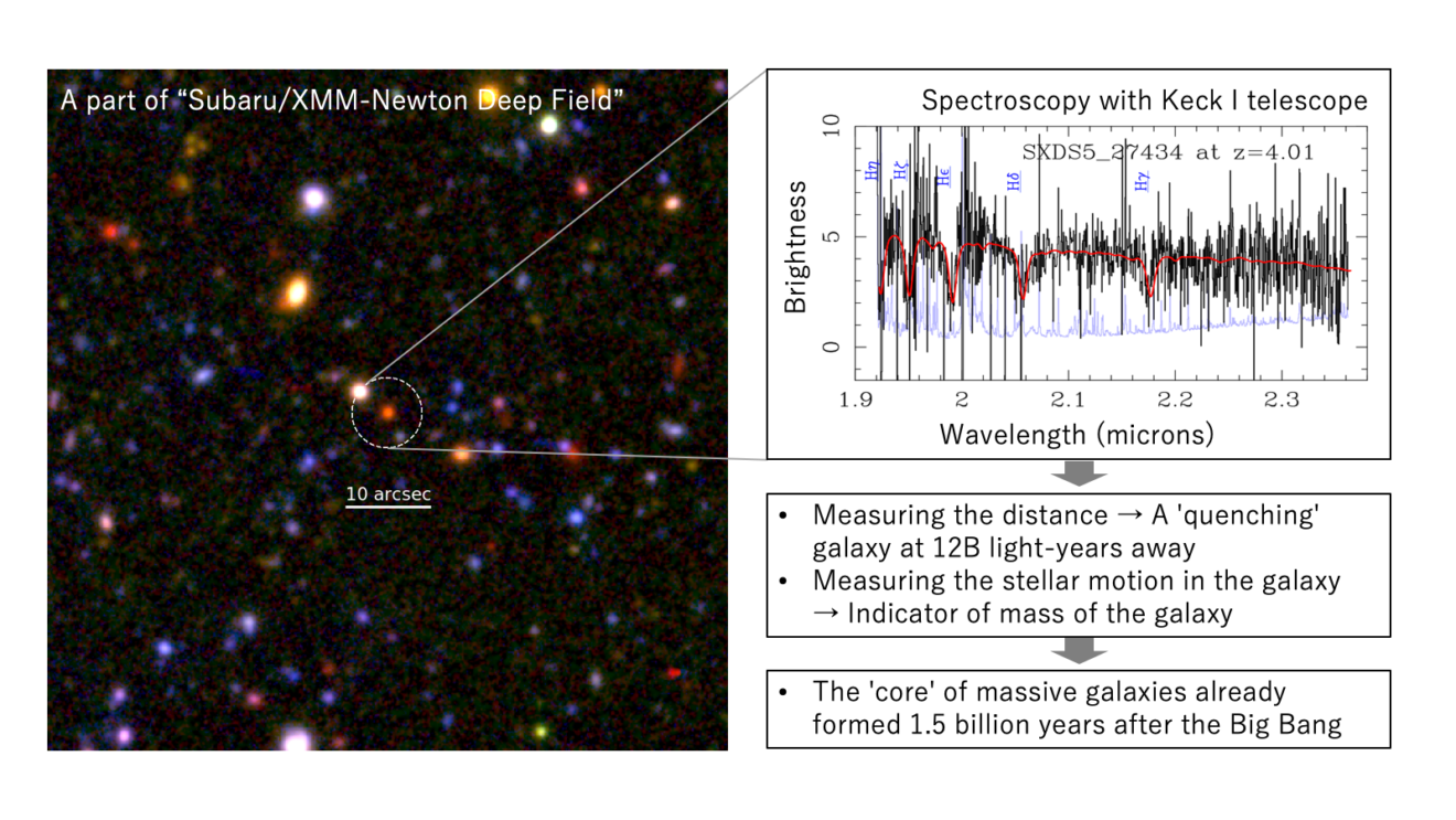 1,5 Miljard jaar na de oerknal hadden de kernen van zware sterrenstelsels zich al gevormd
