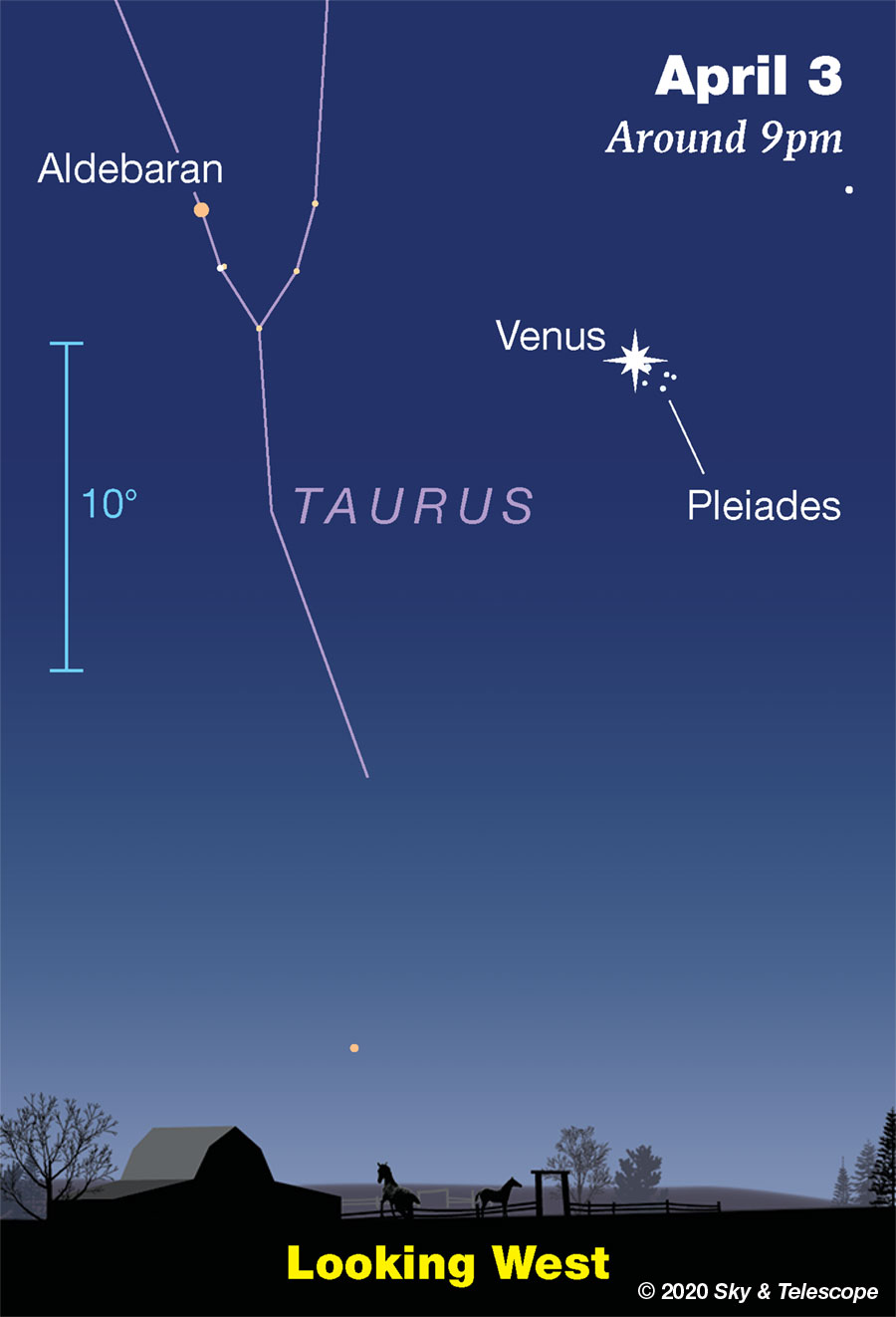 Vrijdag 3 april trekt Venus door de Pleiaden