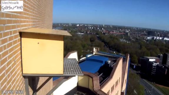 Inslag vallende ster boven Groningen op webcam te zien?