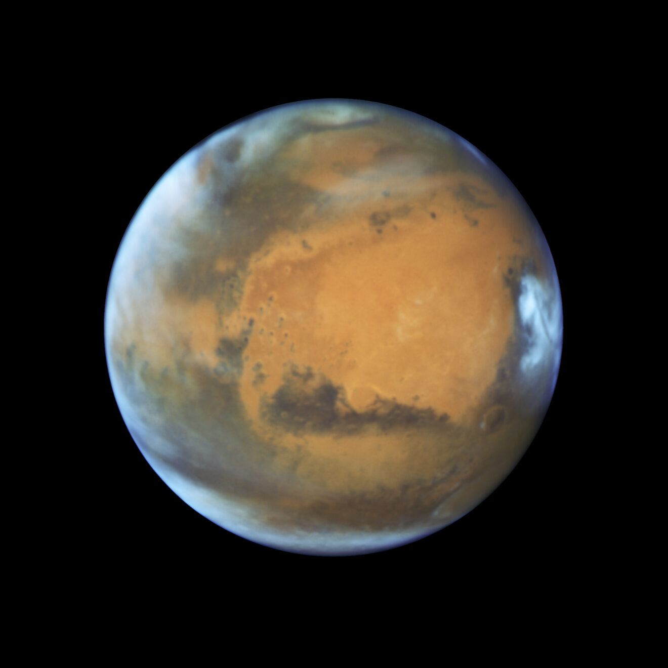 Schimmels en organische zouten op Mars?