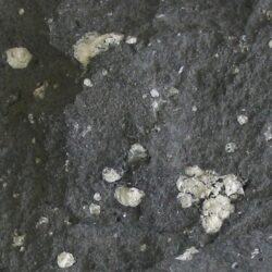 Erg Chech 002-meteoriet bevat het oudste vulkanische gesteente ooit gevonden op aarde