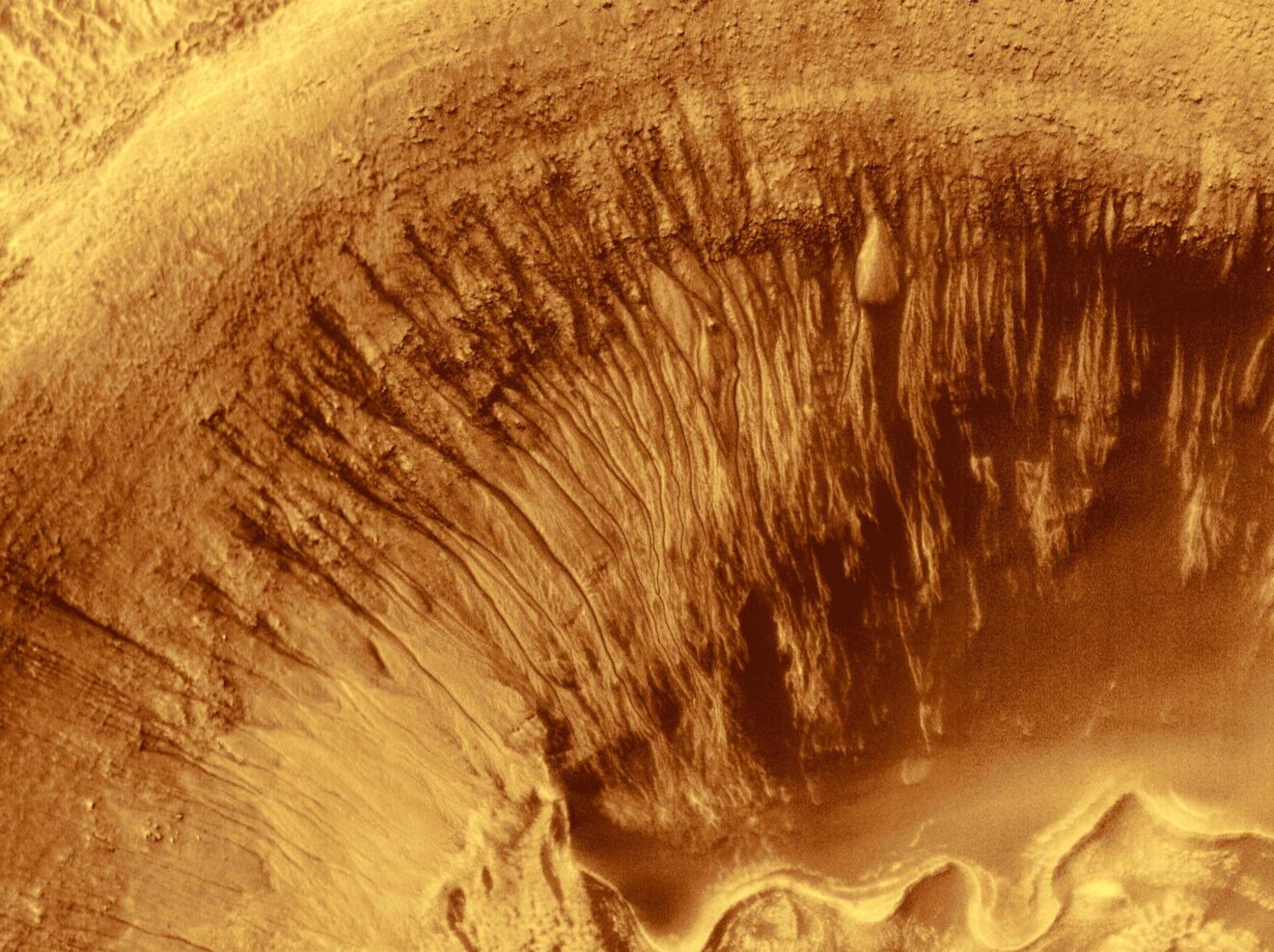 Extremofielen boven Poolcirkel vormen mogelijk blauwdruk voor levensvormen op Mars