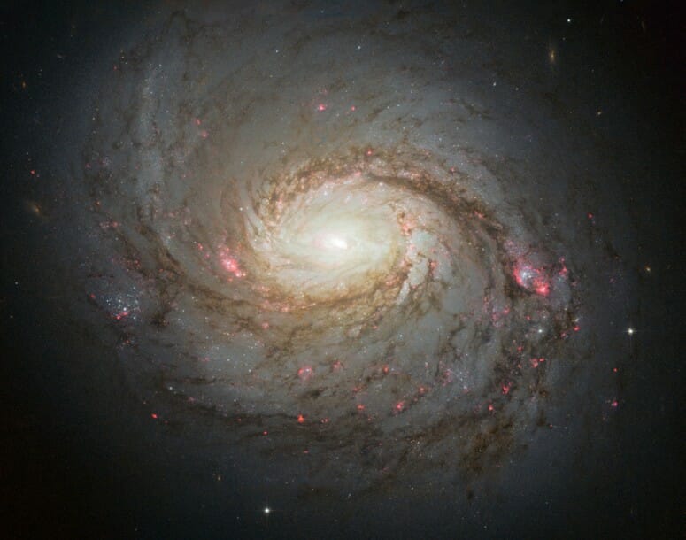 IceCube heeft hoogenergetische neutrino's waargenomen uit M77 (NGC 1068)