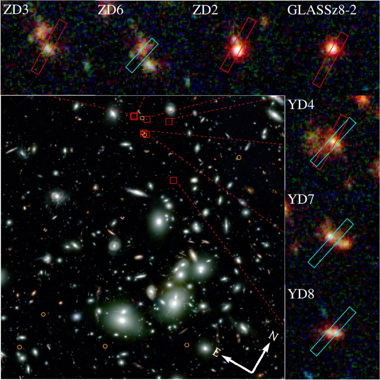 Webb ziet de voorloper van een enorme cluster van sterrenstelsels
