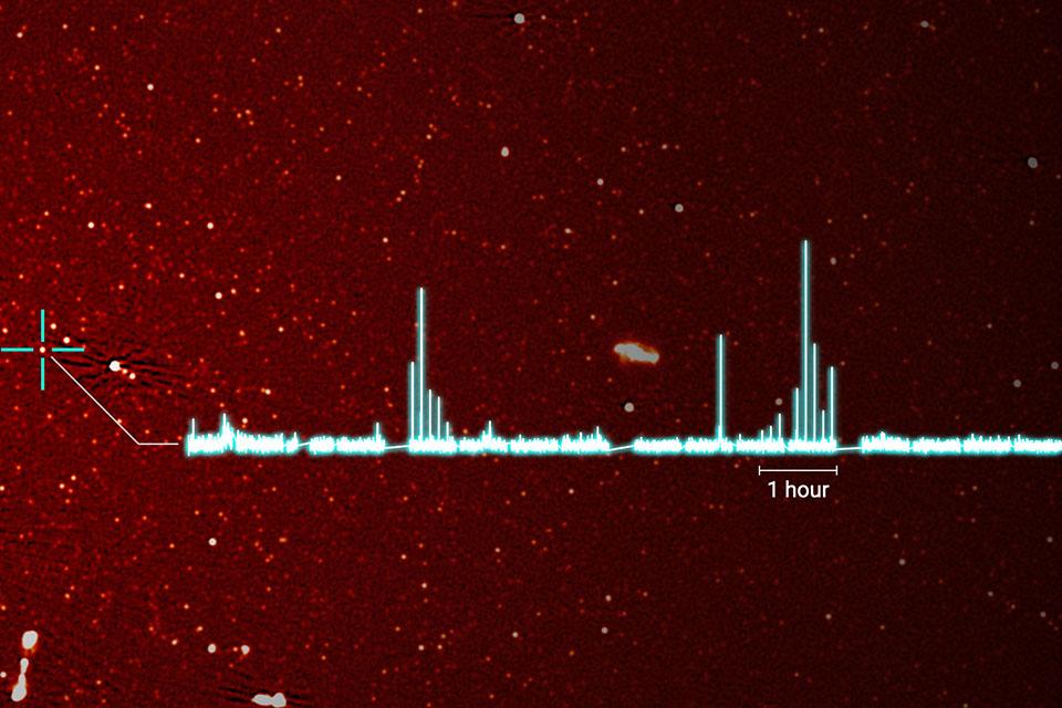 Voor de tweede keer is een 'witte dwerg pulsar' ontdekt