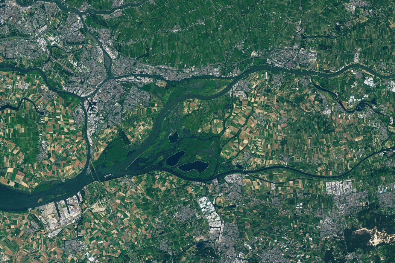 Landsat 8 brengt de Biesbosch in beeld
