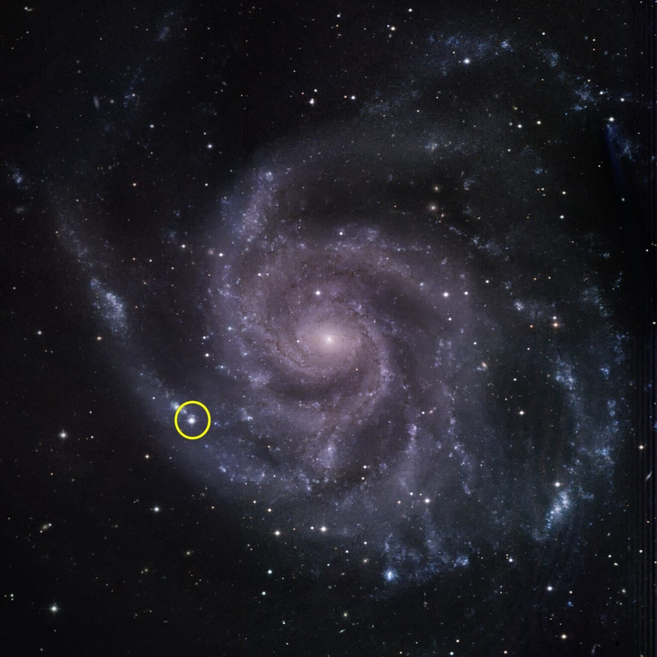 Fermi ziet geen gammastraling van de supernova die vorig jaar in M101 verscheen