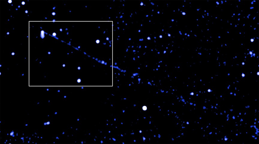 Chandra brengt de stroom materie en antimaterie uitgespuwd door pulsar PSR J2030 scherp in beeld